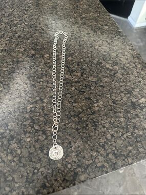 The Golden Bear Silver Organic Bear Disc Necklace